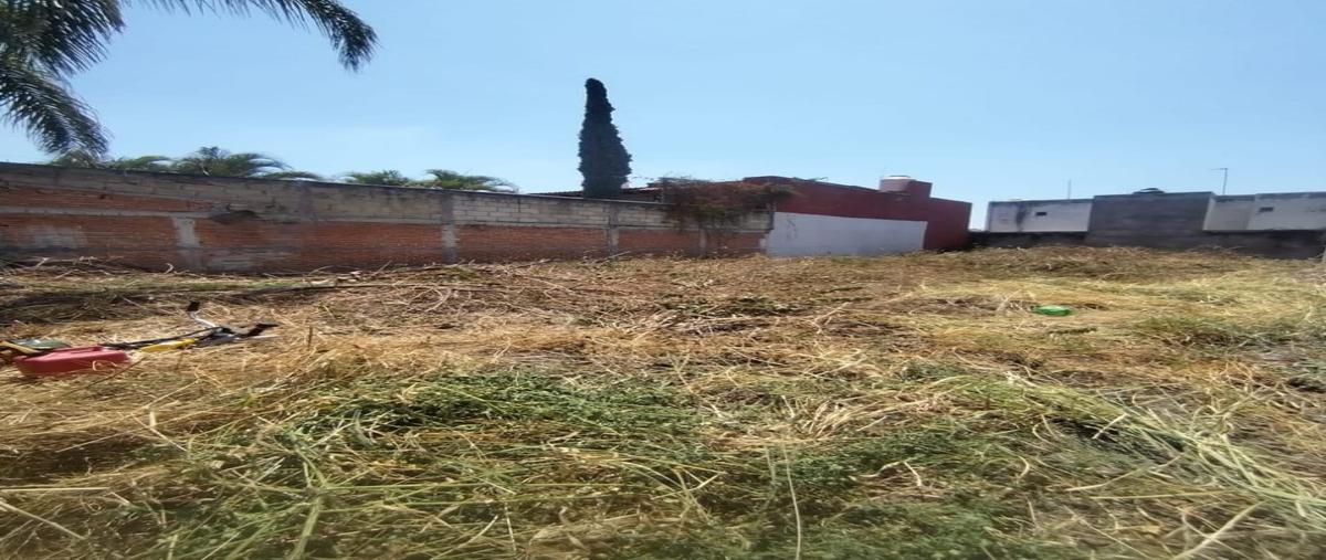 Foto de terreno habitacional en venta en  , las fincas, jiutepec, morelos, 0 No. 03