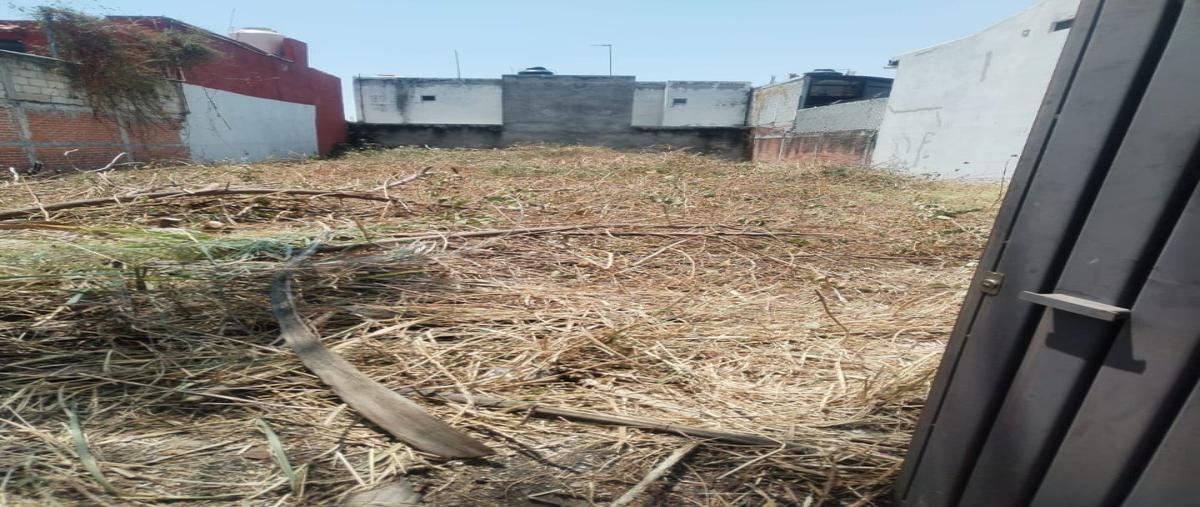 Foto de terreno habitacional en venta en  , las fincas, jiutepec, morelos, 0 No. 05