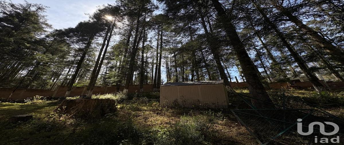 Foto de terreno habitacional en venta en las flores 216, bosques de san cayetano, mineral del monte, hidalgo, 0 No. 03