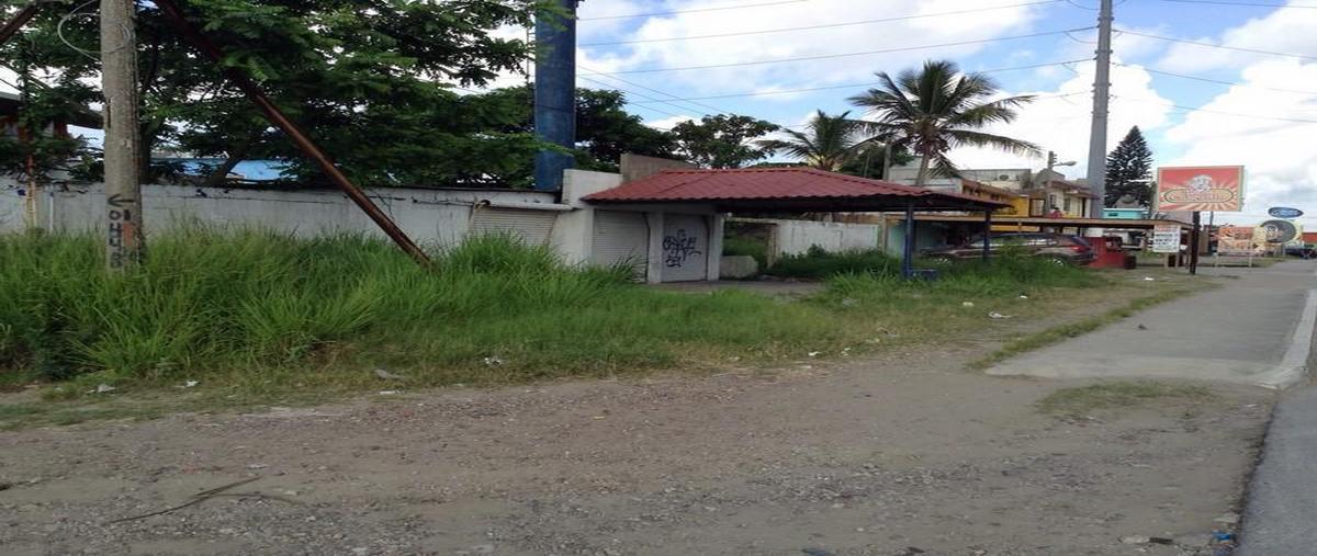 Foto de terreno habitacional en renta en  , las flores (ampliación), ciudad madero, tamaulipas, 7151043 No. 03