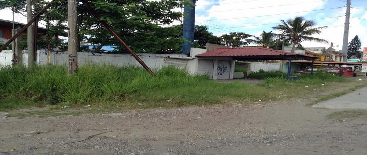 Foto de terreno habitacional en renta en  , las flores (ampliación), ciudad madero, tamaulipas, 7151043 No. 04