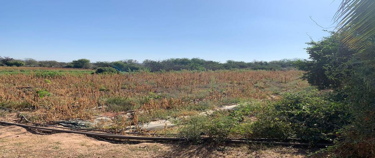 Foto de terreno comercial en venta en las flores , las flores, culiacán, sinaloa, 0 No. 03