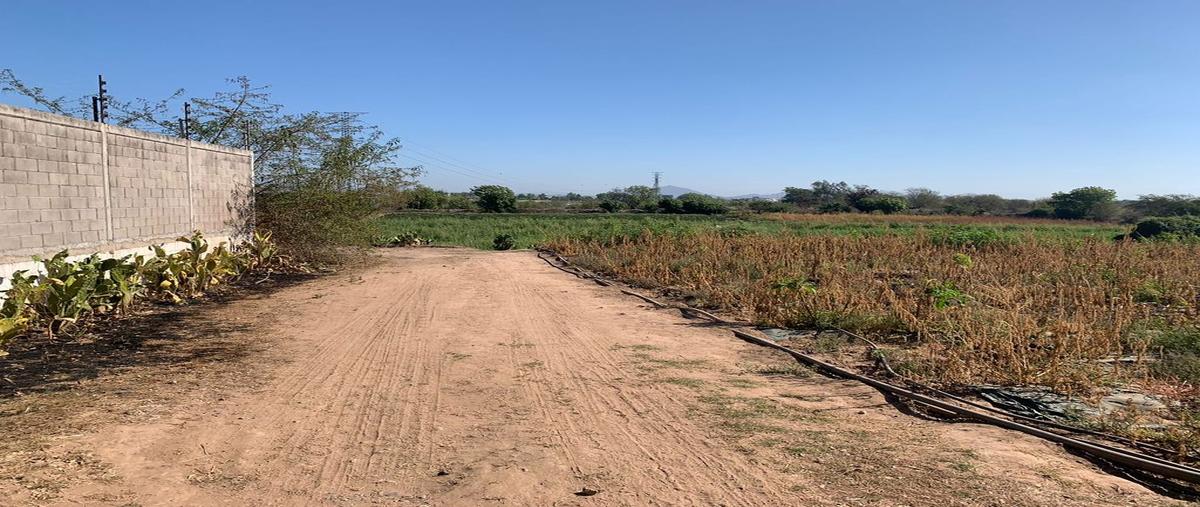 Foto de terreno comercial en venta en las flores , las flores, culiacán, sinaloa, 0 No. 04