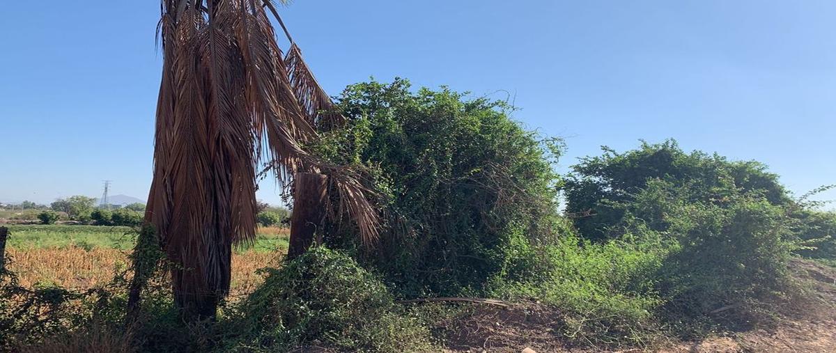 Foto de terreno comercial en venta en las flores , las flores, culiacán, sinaloa, 0 No. 05