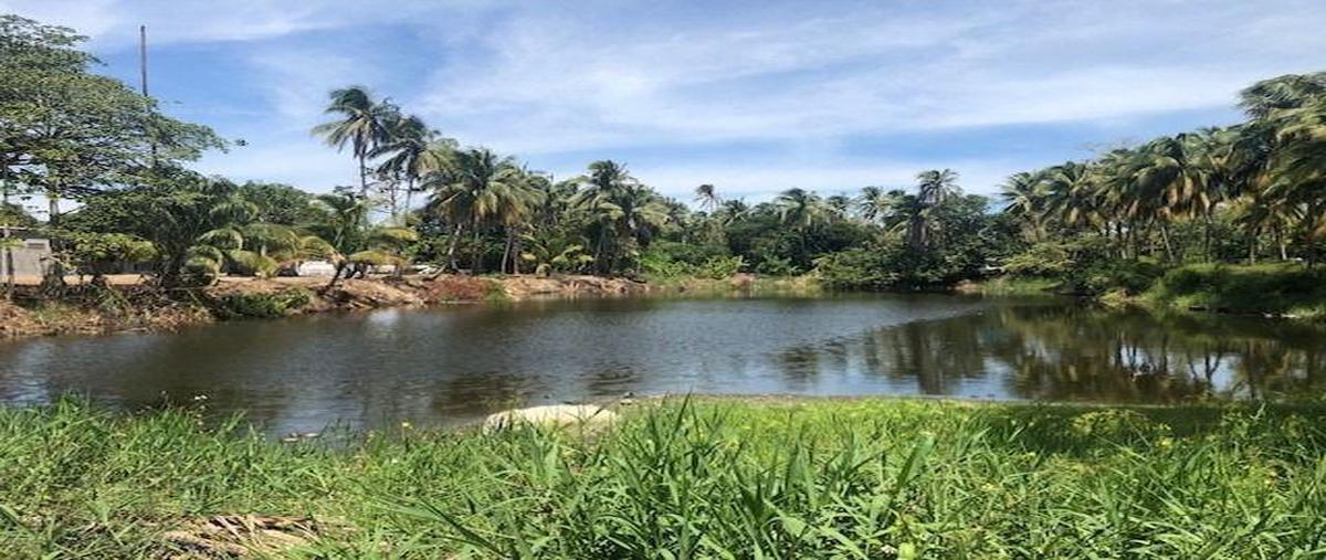 Foto de bodega en renta en  , las flores, paraíso, tabasco, 6838530 No. 04