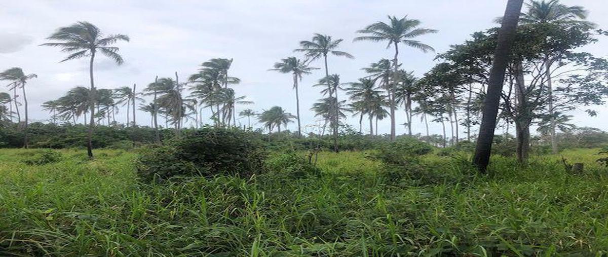 Foto de terreno habitacional en venta en  , las flores, paraíso, tabasco, 7114370 No. 03