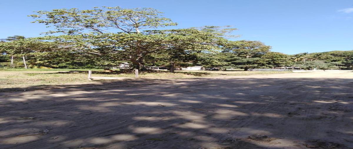 Foto de terreno habitacional en renta en  , las flores, paraíso, tabasco, 7114378 No. 04