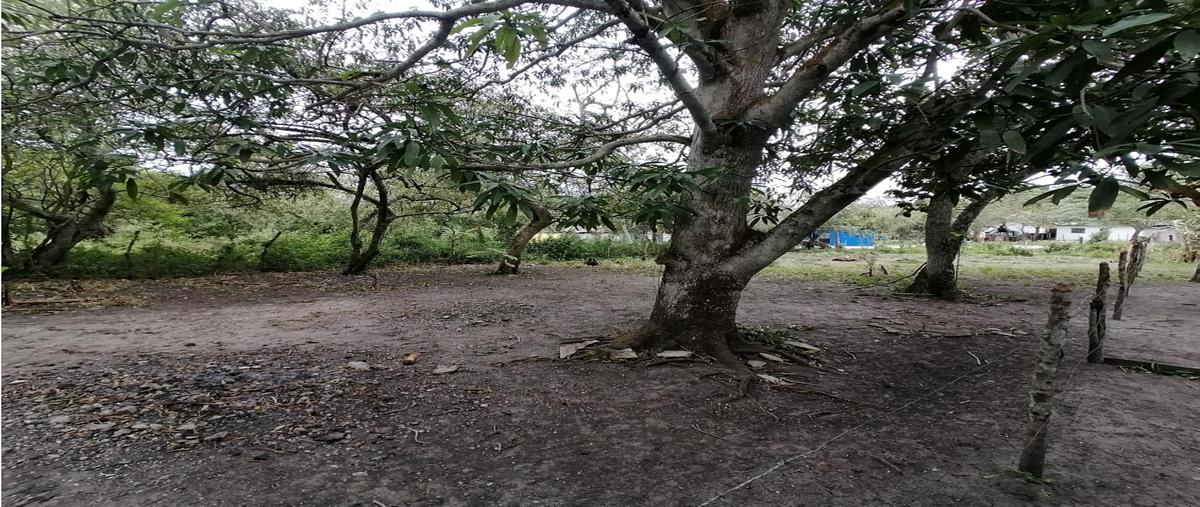 Foto de terreno habitacional en venta en  , las flores, tampico alto, veracruz de ignacio de la llave, 0 No. 04