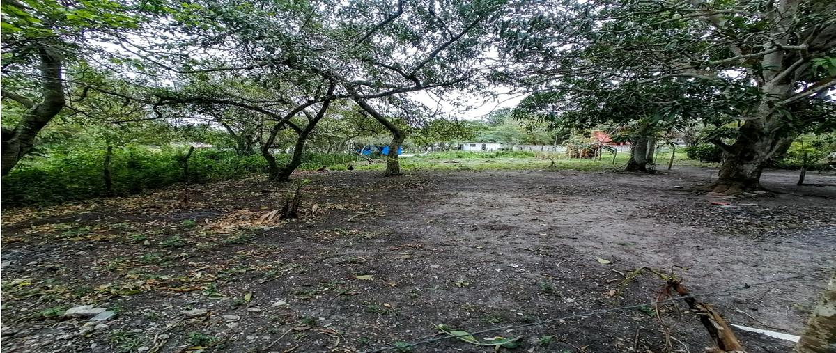Foto de terreno habitacional en venta en  , las flores, tampico alto, veracruz de ignacio de la llave, 0 No. 05