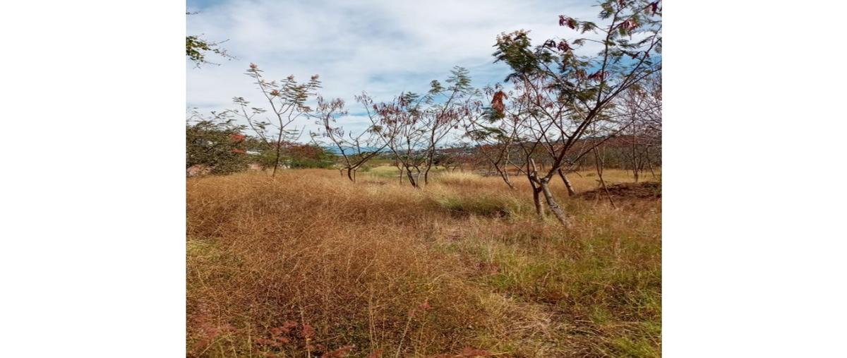 Foto de terreno habitacional en venta en  , las fuentes, jiutepec, morelos, 0 No. 05