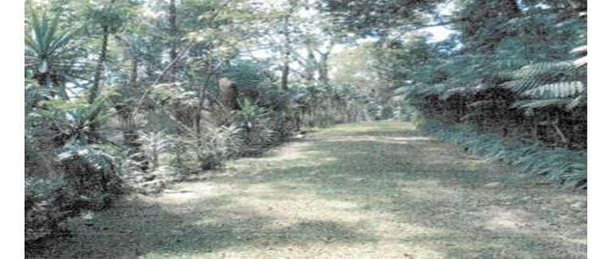 Foto de terreno habitacional en , las fuentes, xalapa, veracruz de ignacio de la llave, 0 foto 03 Foto de terreno habitacional en venta en , las fuentes, xalapa, veracruz de ignacio de la llave, 0 No. 03