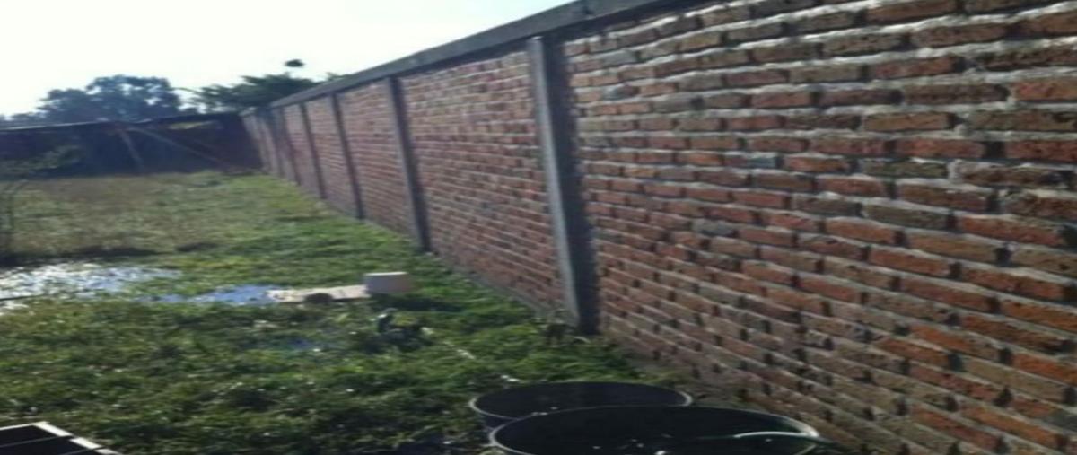 Foto de terreno habitacional en renta en . , las golondrinas, colotlán, jalisco, 0 No. 03