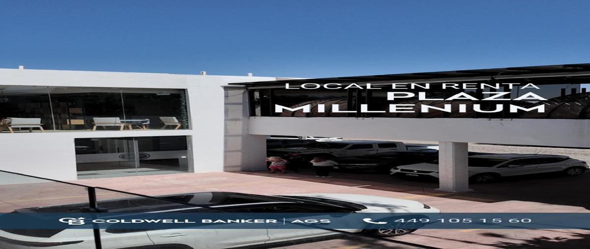 Foto de local en renta en las granjas 110, granjas del campestre, aguascalientes, aguascalientes, 0 No. 03