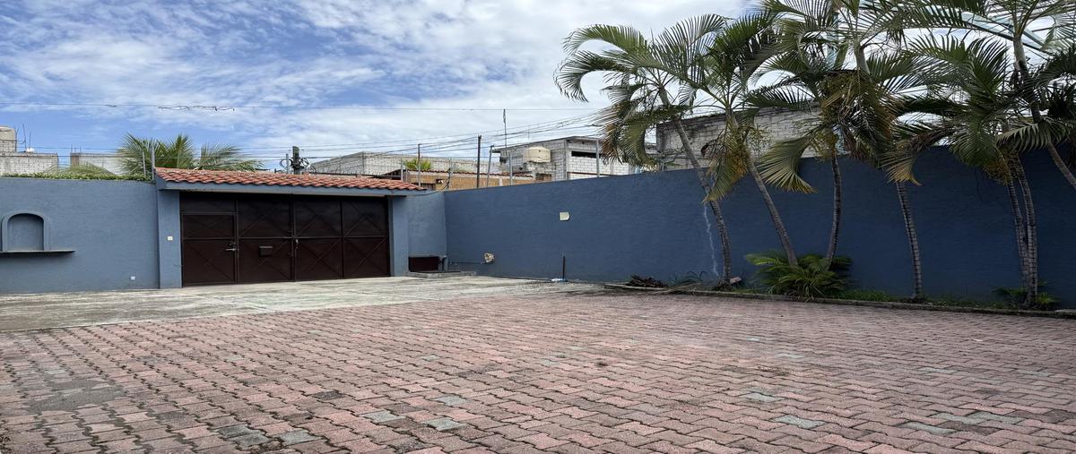 Foto de casa en venta en  , las granjas, cuernavaca, morelos, 0 No. 03