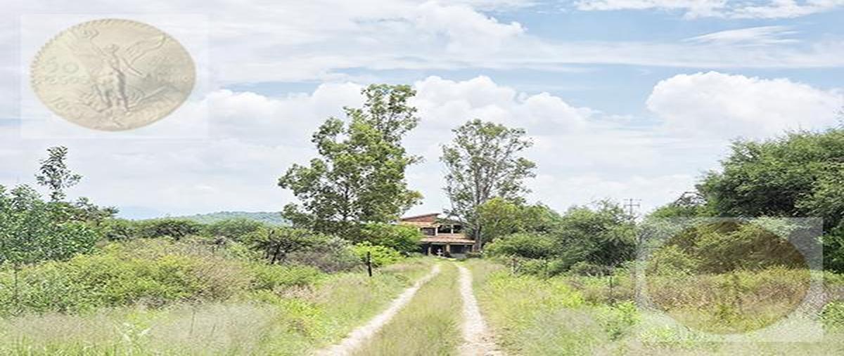 Foto de terreno habitacional en venta en  , las granjas del ejido de tecozautla, tecozautla, hidalgo, 31573116 No. 03