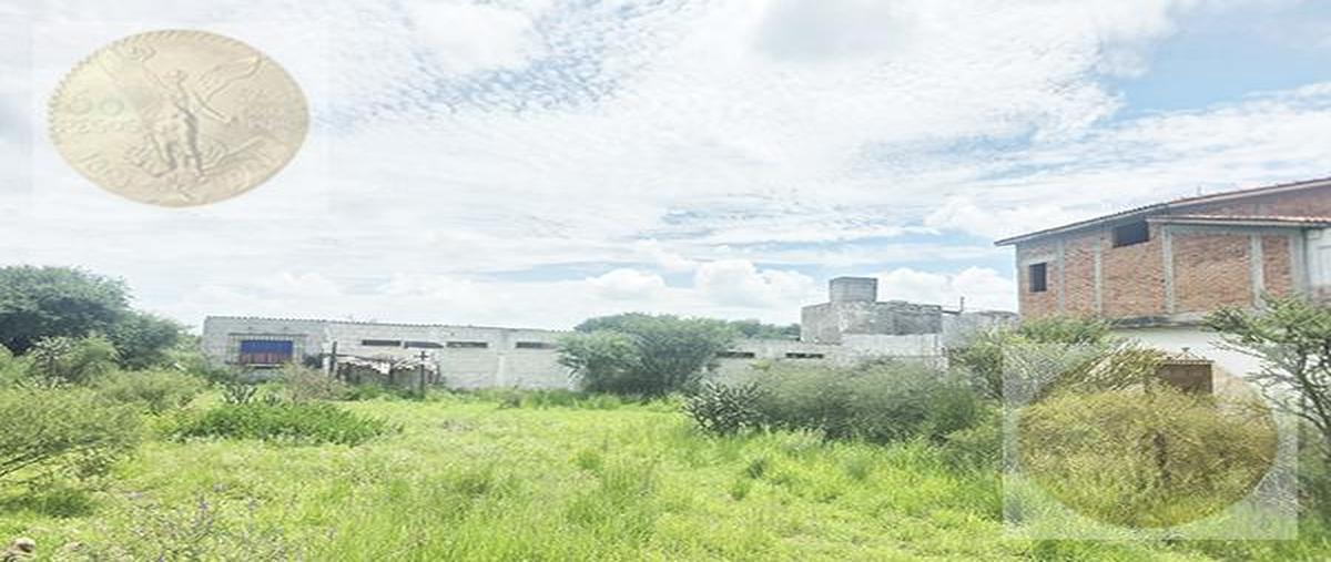 Foto de terreno habitacional en venta en  , las granjas del ejido de tecozautla, tecozautla, hidalgo, 31573116 No. 05