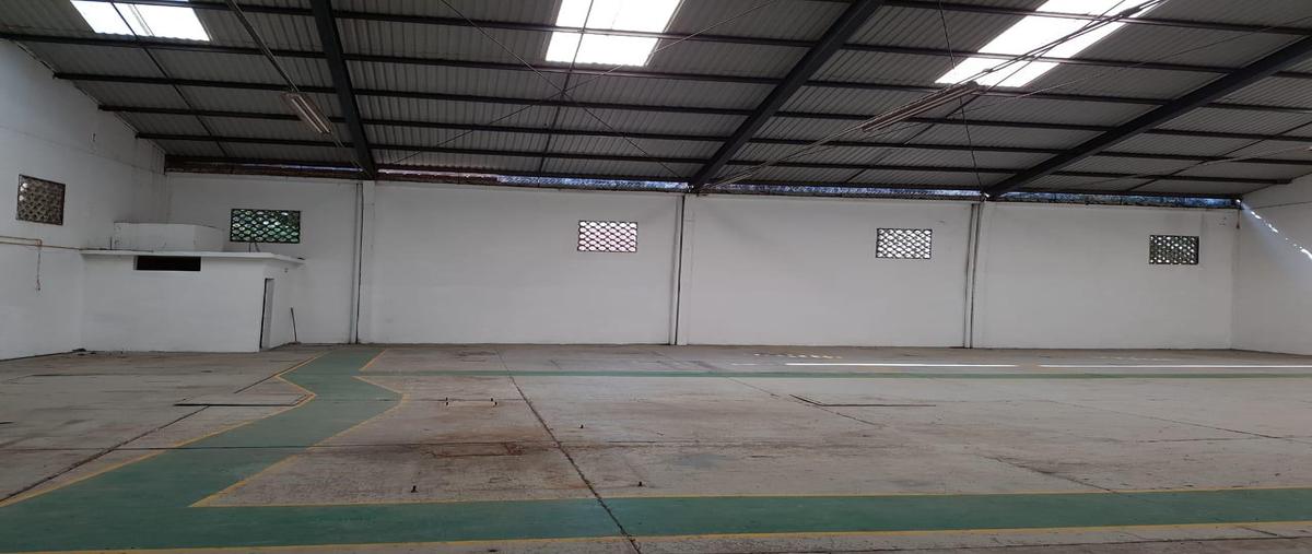Foto de bodega en renta en  , las granjas, poza rica de hidalgo, veracruz de ignacio de la llave, 29471614 No. 02