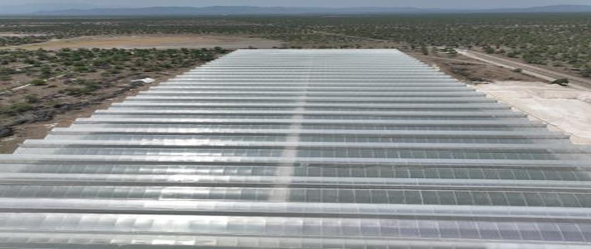 Foto de rancho en venta en  , las grullas, rioverde, san luis potosí, 0 No. 04