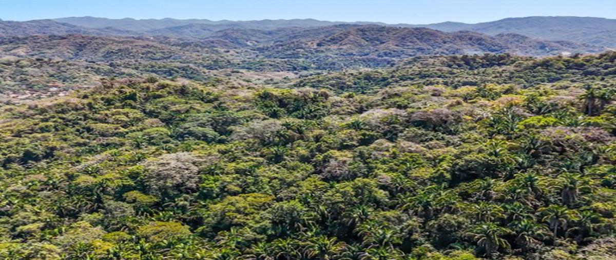 Foto de terreno comercial en , las hachas, bahía de banderas, nayarit, 0 foto 02 Foto de terreno comercial en venta en , las hachas, bahía de banderas, nayarit, 0 No. 02