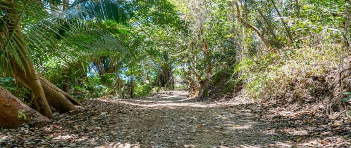 Foto de terreno comercial en , las hachas, bahía de banderas, nayarit, 0 foto 05 Foto de terreno comercial en venta en , las hachas, bahía de banderas, nayarit, 0 No. 05