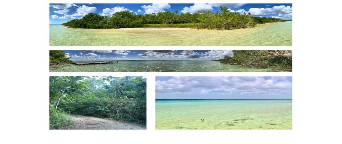 Foto de terreno habitacional en , las isabelas, bacalar, quintana roo, 0 foto 02 Foto de terreno habitacional en venta en , las isabelas, bacalar, quintana roo, 0 No. 02