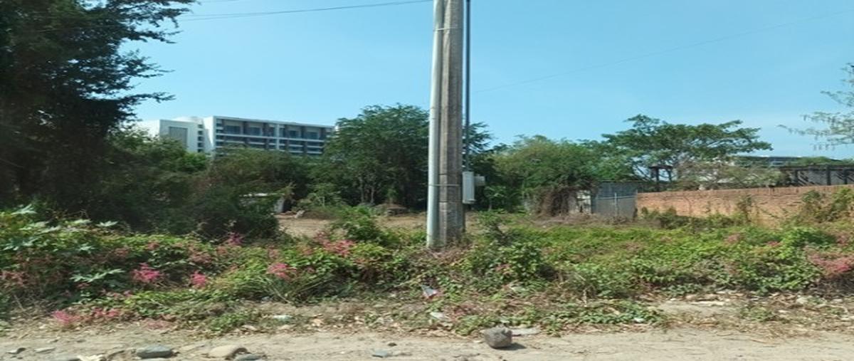 Foto de terreno habitacional en venta en  , las jarretaderas, bahía de banderas, nayarit, 30255314 No. 04