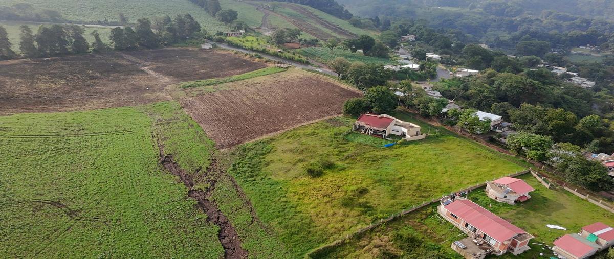 Foto de rancho en venta en las lajas altamirano , cuauhtémoc, coatepec, veracruz de ignacio de la llave, 30076707 No. 05