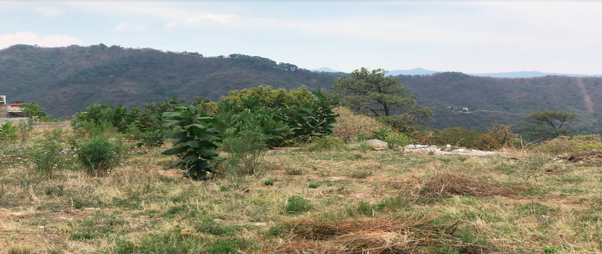 Foto de terreno habitacional en venta en las lajas , el arco, valle de bravo, méxico, 21039560 No. 03