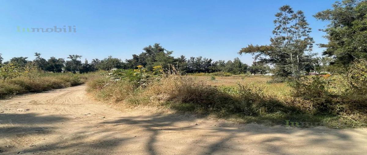 Foto de terreno habitacional en venta en  , las liebres, san pedro tlaquepaque, jalisco, 15205549 No. 05