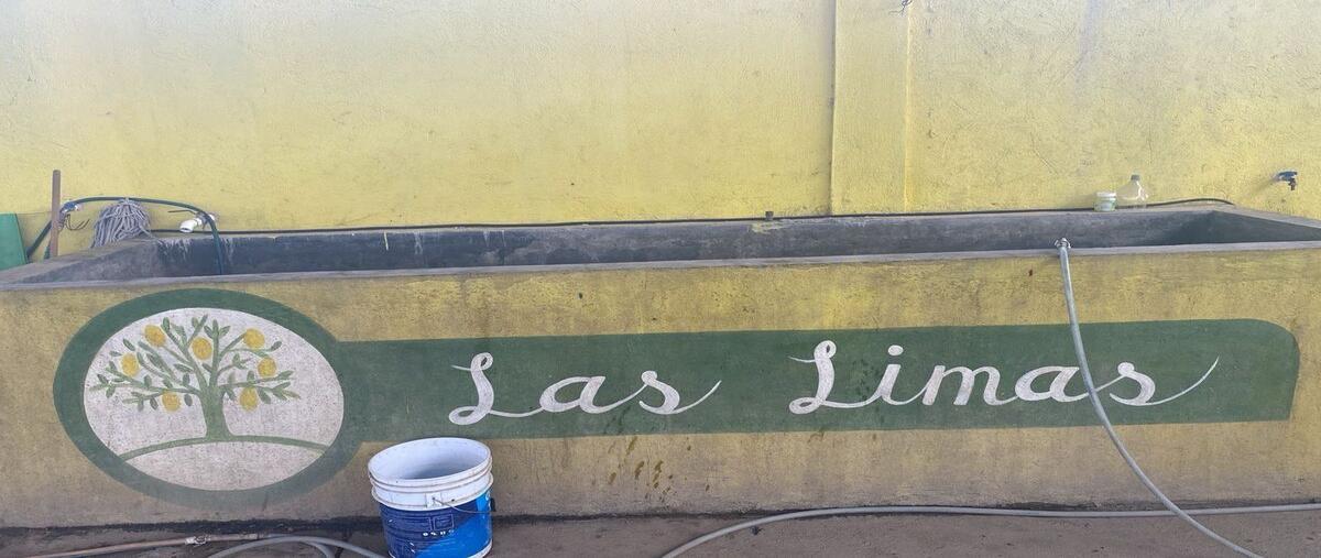 Foto de local en renta en las limas , narciso mendoza, chiapa de corzo, chiapas, 28227633 No. 03