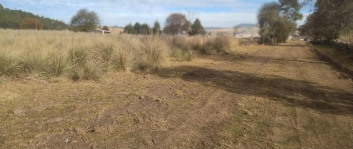 Foto de terreno comercial en venta en las lomas , villa de san nicolás coatepec de las bateas, tianguistenco, méxico, 0 No. 03