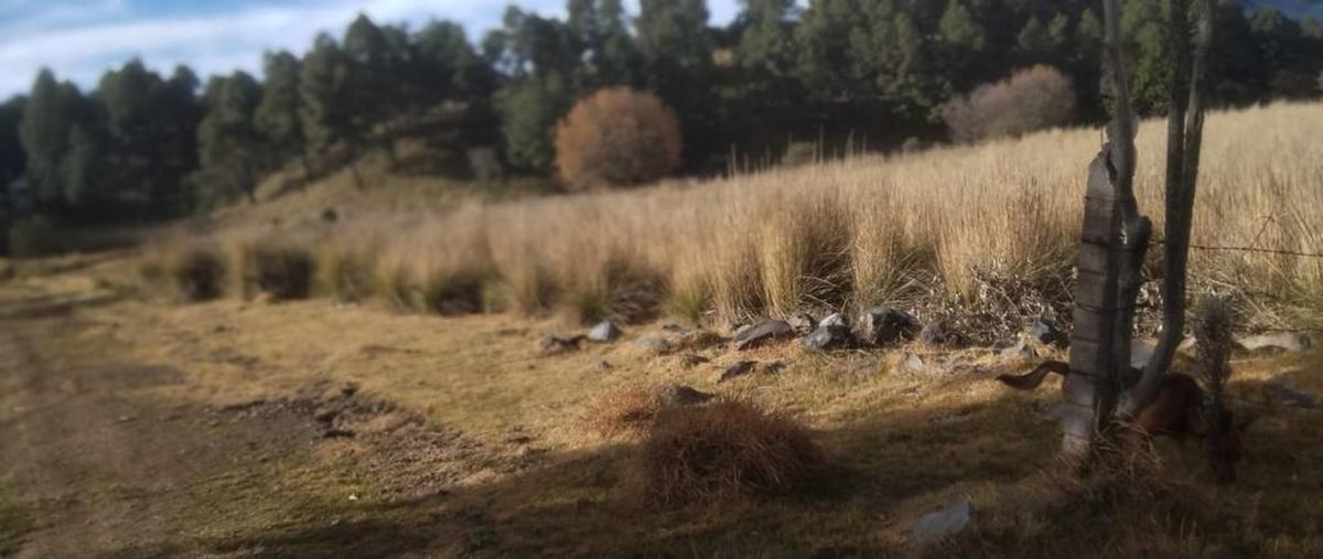 Foto de terreno comercial en venta en las lomas , villa de san nicolás coatepec de las bateas, tianguistenco, méxico, 0 No. 04