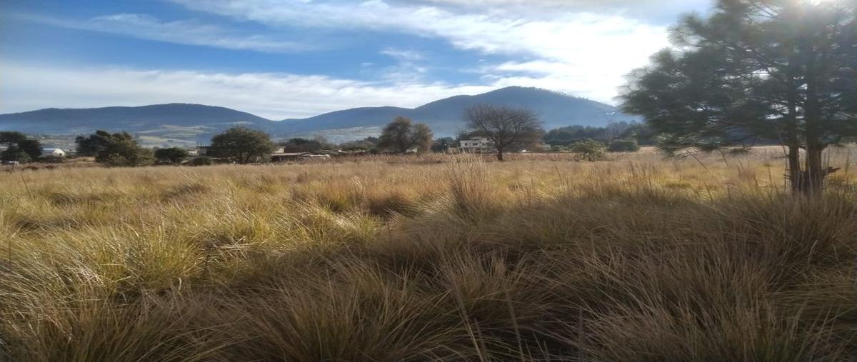 Foto de terreno comercial en venta en las lomas , villa de san nicolás coatepec de las bateas, tianguistenco, méxico, 0 No. 05