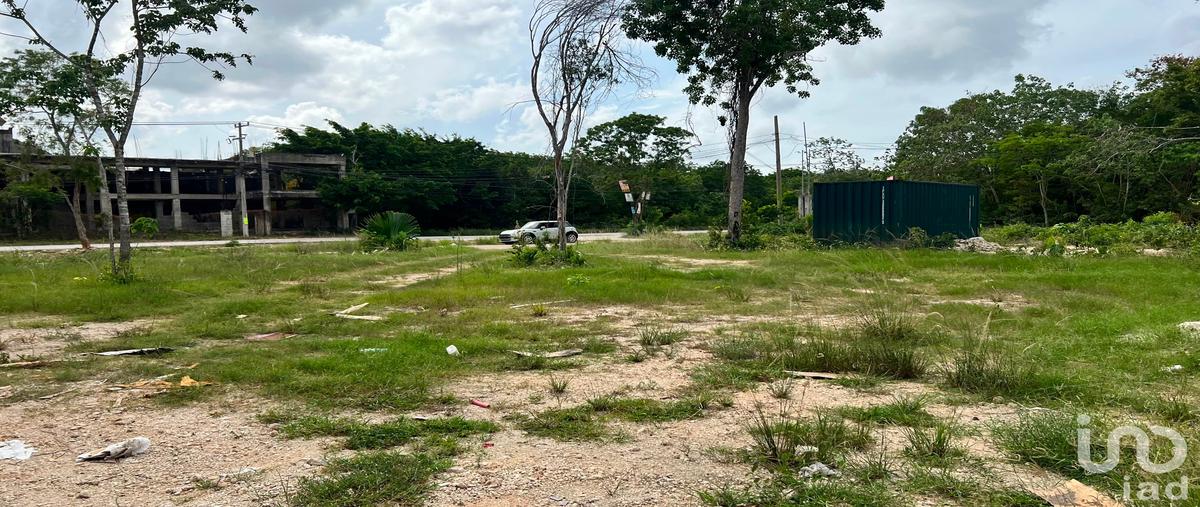 Foto de terreno comercial en venta en las mañanitas 110, supermanzana 313, benito juárez, quintana roo, 31681843 No. 05