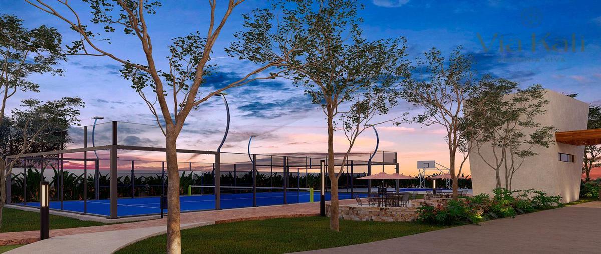 Foto de terreno habitacional en venta en  , las margaritas de cholul, mérida, yucatán, 0 No. 03