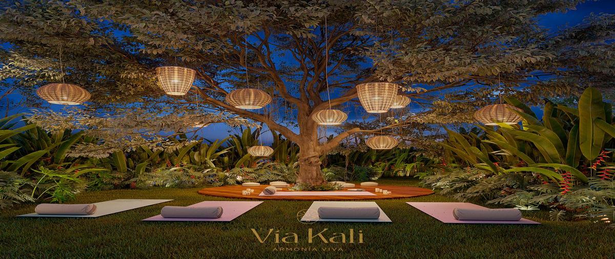 Foto de terreno habitacional en venta en  , las margaritas de cholul, mérida, yucatán, 0 No. 05