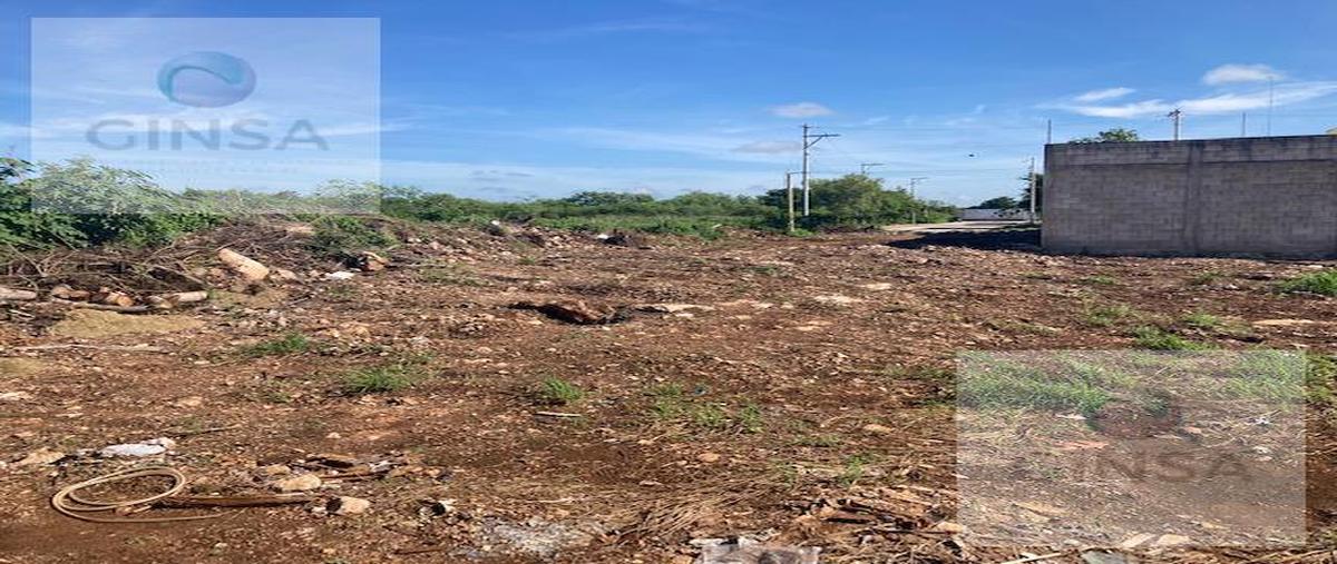 Foto de terreno habitacional en venta en  , las margaritas de cholul, mérida, yucatán, 0 No. 05
