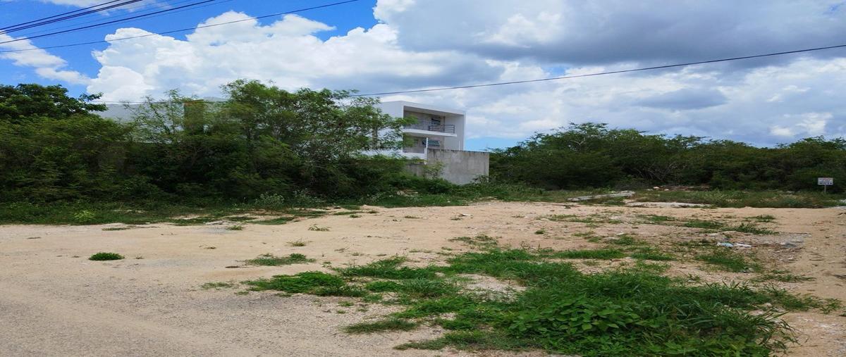 Foto de terreno habitacional en venta en las margaritas de cholul, mérida, yucatán , las margaritas de cholul, mérida, yucatán, 0 No. 05