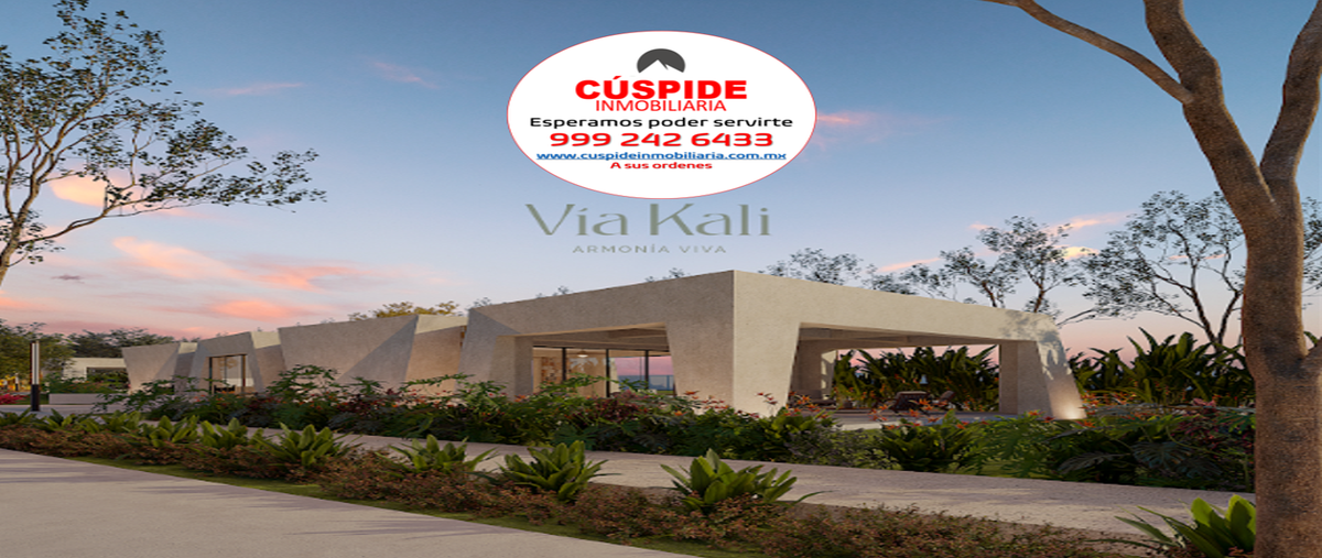 Foto de terreno habitacional en las margaritas de cholul, mérida, yucatán , las margaritas de cholul, mérida, yucatán, 0 foto 05 Foto de terreno habitacional en venta en las margaritas de cholul, mérida, yucatán , las margaritas de cholul, mérida, yucatán, 0 No. 05