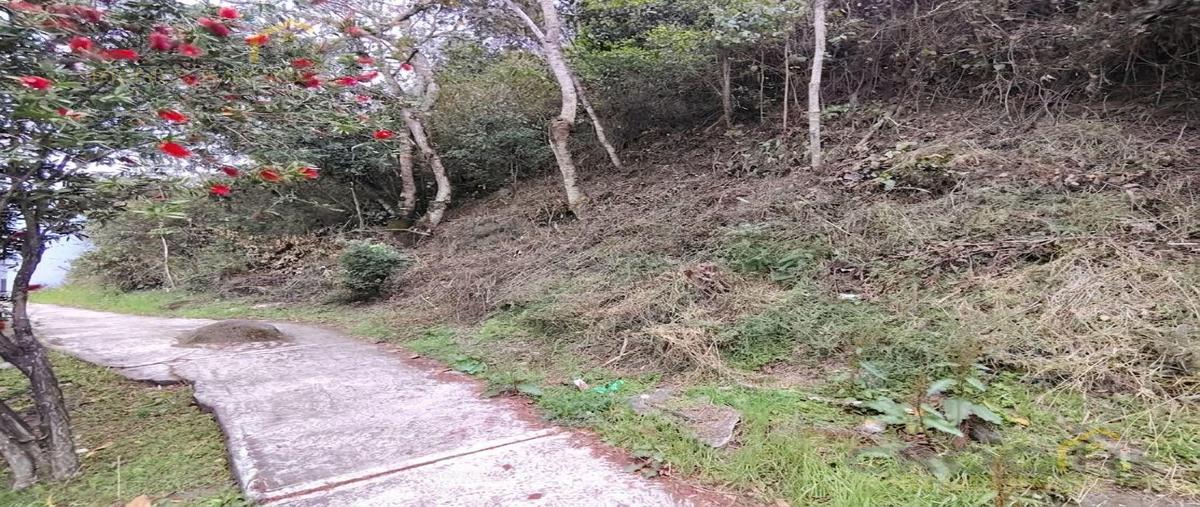 Foto de terreno habitacional en , las margaritas, xalapa, veracruz de ignacio de la llave, 0 foto 05 Foto de terreno habitacional en venta en , las margaritas, xalapa, veracruz de ignacio de la llave, 0 No. 05