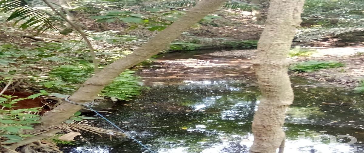 Foto de terreno habitacional en venta en las martuchas 60, manlio fabio altamirano, manlio fabio altamirano, veracruz de ignacio de la llave, 28719968 No. 05