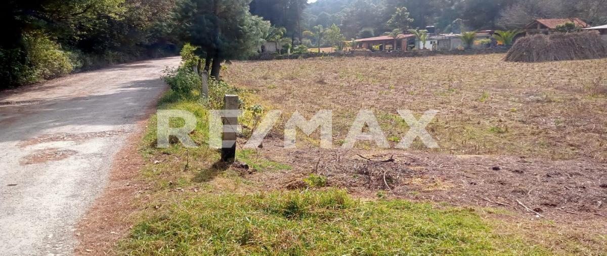 Foto de terreno habitacional en venta en las mesas de san martin , mesas de san martín, villa de allende, méxico, 0 No. 03
