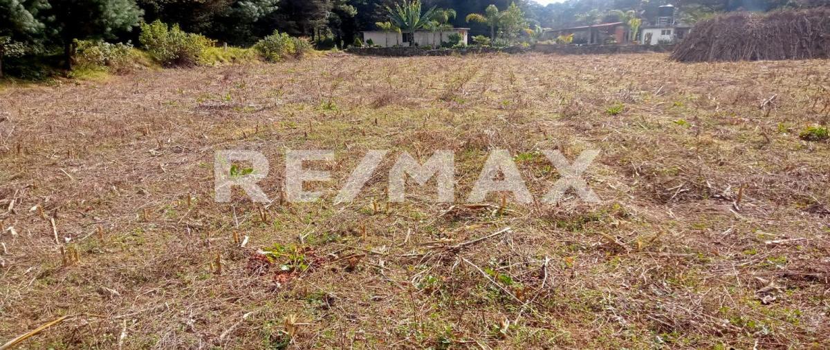 Foto de terreno habitacional en venta en las mesas de san martin , mesas de san martín, villa de allende, méxico, 0 No. 04