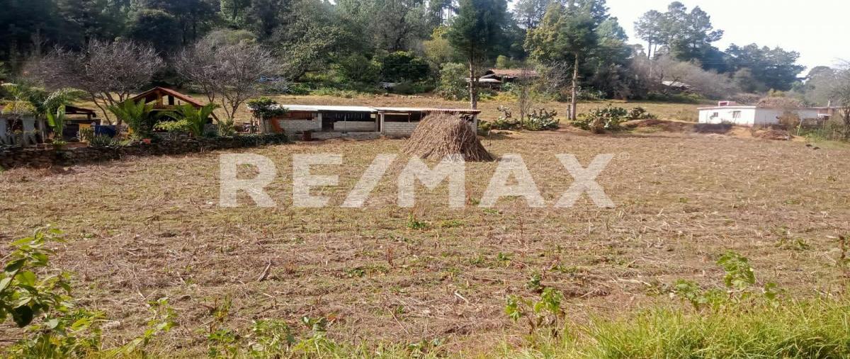 Foto de terreno habitacional en venta en las mesas de san martin , mesas de san martín, villa de allende, méxico, 0 No. 05