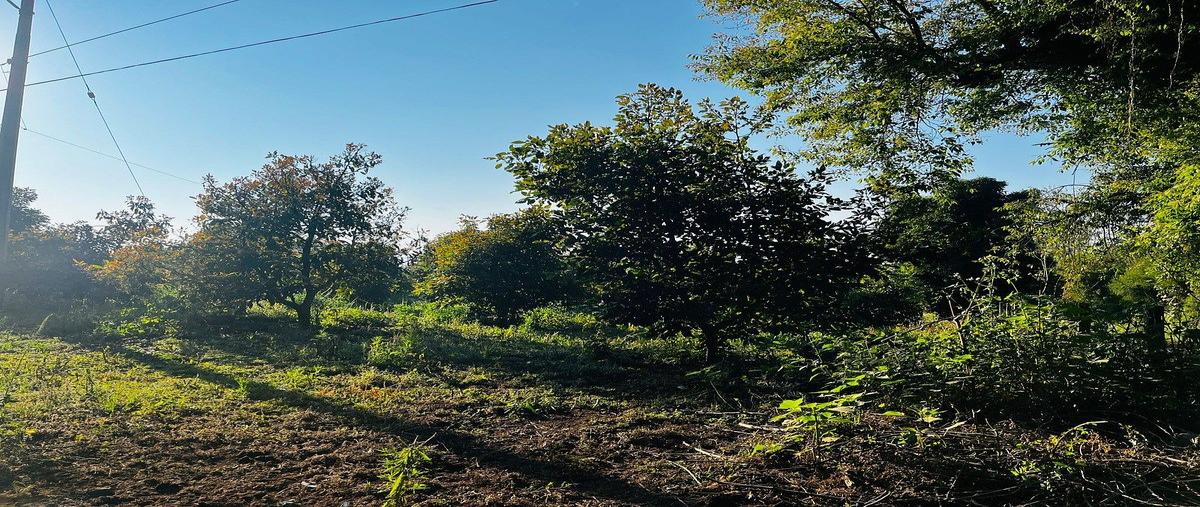 Foto de terreno habitacional en venta en las mesas , mesas de dolores, valle de bravo, méxico, 30688429 No. 03
