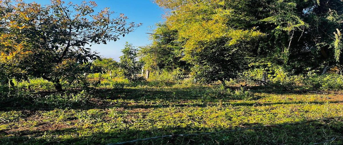 Foto de terreno habitacional en venta en las mesas , mesas de dolores, valle de bravo, méxico, 30688429 No. 04