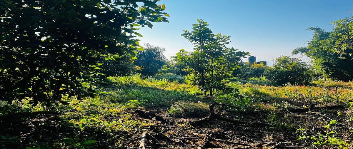 Foto de terreno habitacional en venta en las mesas , mesas de dolores, valle de bravo, méxico, 30688429 No. 05