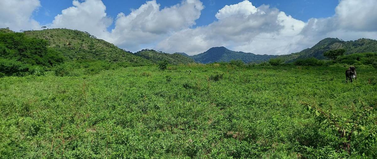 Foto de rancho en las moradas , villa morelos, cintalapa, chiapas, 31739425 foto 02 Foto de rancho en venta en las moradas , villa morelos, cintalapa, chiapas, 31739425 No. 02