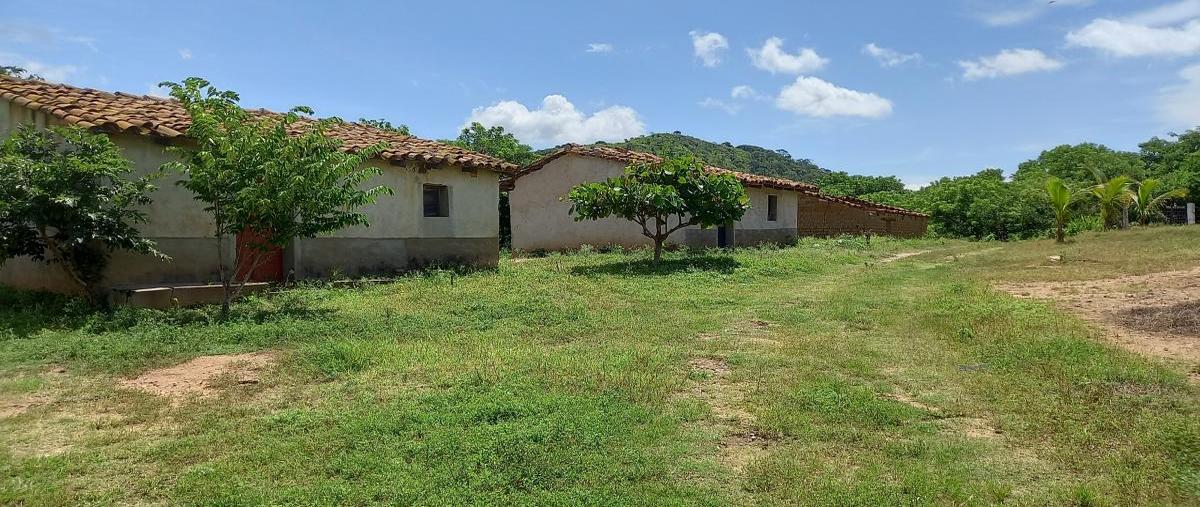 Foto de rancho en las moradas , villa morelos, cintalapa, chiapas, 31739425 foto 03 Foto de rancho en venta en las moradas , villa morelos, cintalapa, chiapas, 31739425 No. 03