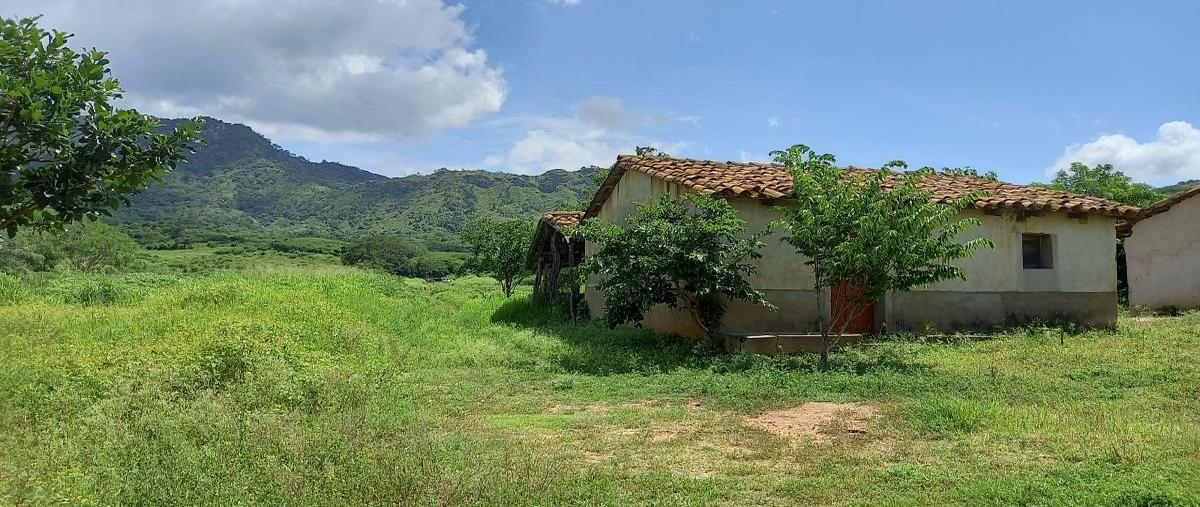 Foto de rancho en las moradas , villa morelos, cintalapa, chiapas, 31739425 foto 04 Foto de rancho en venta en las moradas , villa morelos, cintalapa, chiapas, 31739425 No. 04